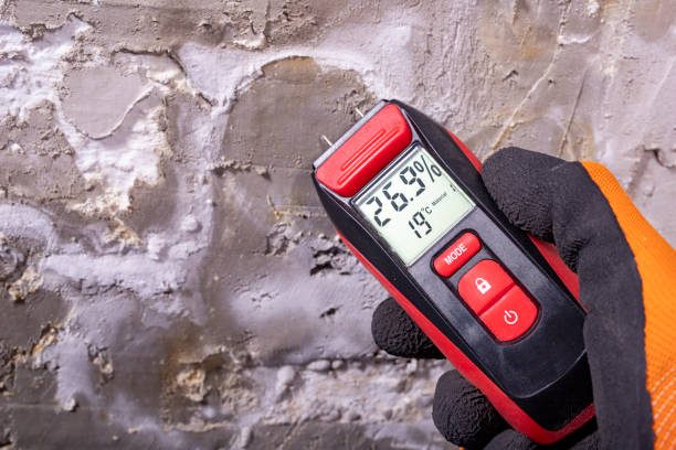 Best Residential Mold Remediation in Apex, NC