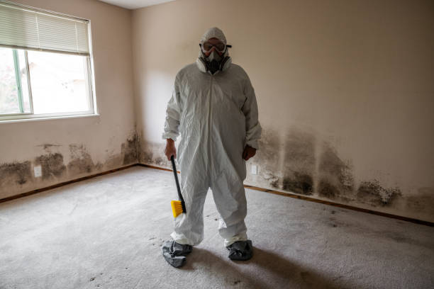 Best Commercial Mold Remediation in Apex, NC